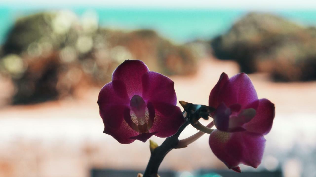 Rosa Marina Villa ชิคลี ภายนอก รูปภาพ